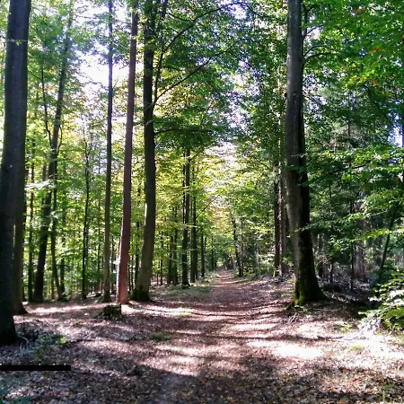 Fewo-frammersbach